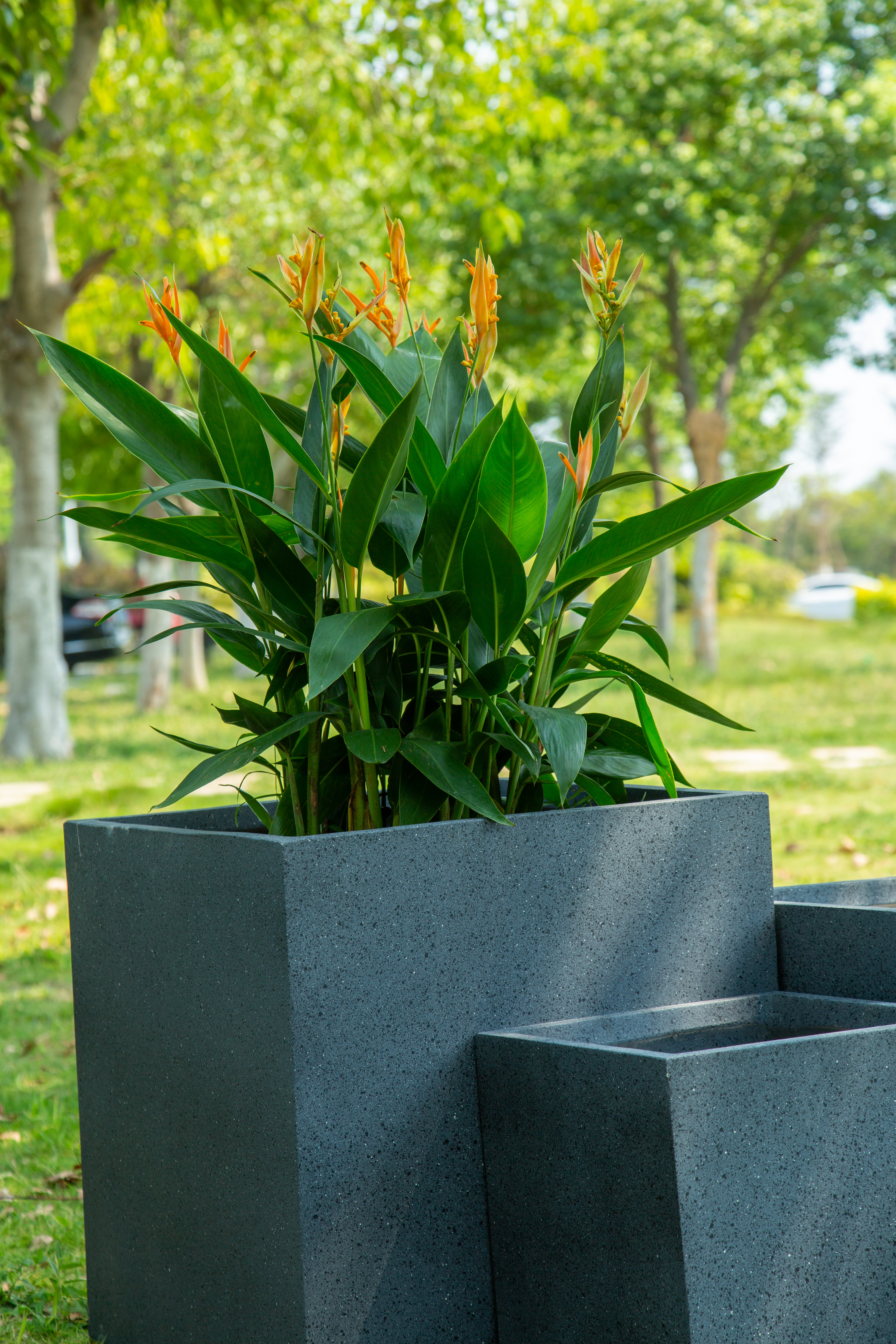 Pots de fleurs carrés hauts (8)